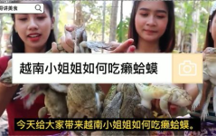 小姐姐蛤蟆,探寻神秘生物的奇幻之旅