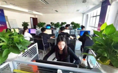 庆元县小姐姐地址,探寻浙南古韵新风采